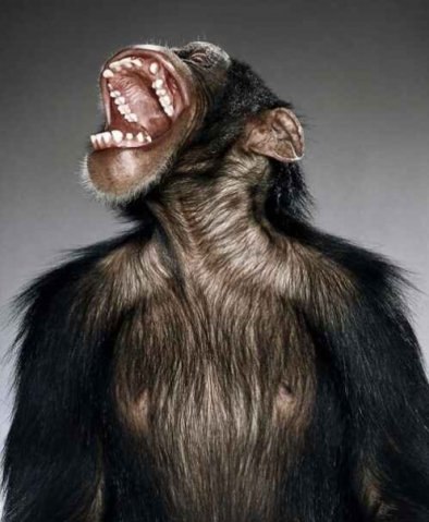 Николай Гайдаржи | Одесса