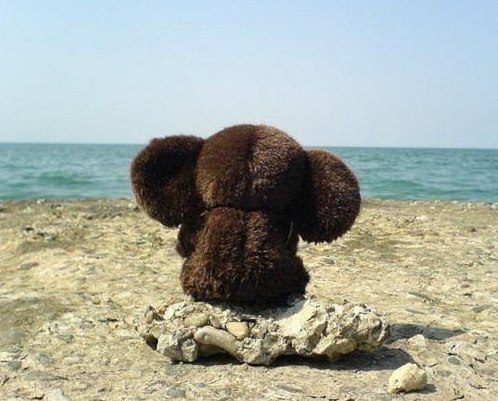 Евгения Гильде | Санкт-Петербург