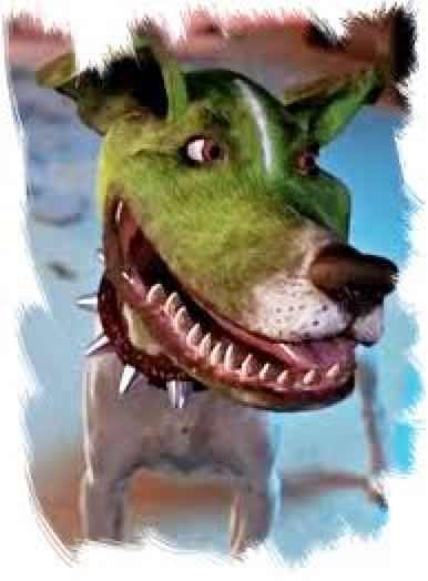 Сергей Пунин | Москва