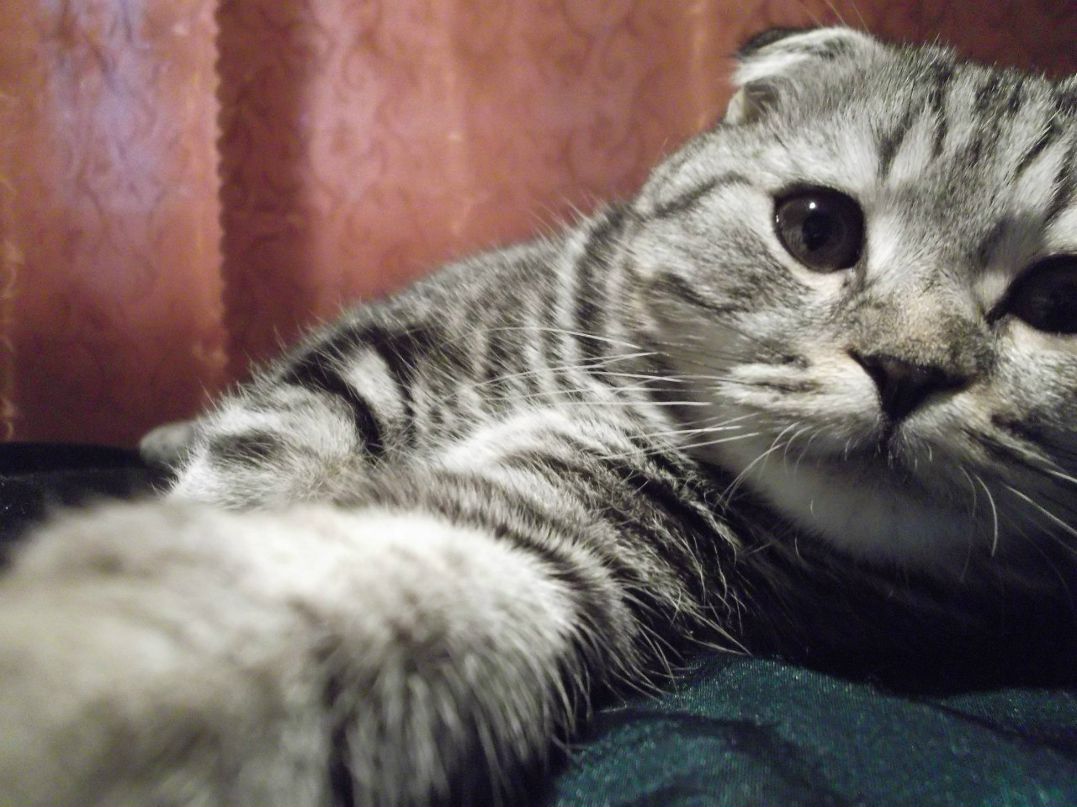 Евгения Вороткова | Липецк