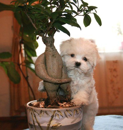 Елена Кудымова | Москва