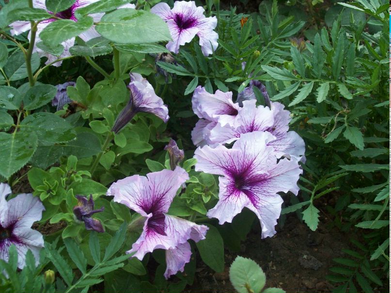 Светлана Андреева | Москва