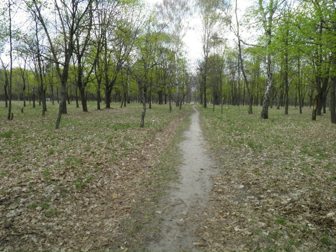 Александр Маласай | Днепр (Днепропетровск)