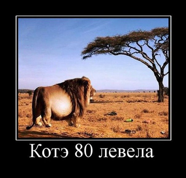 Виталий Гудов | Лобня