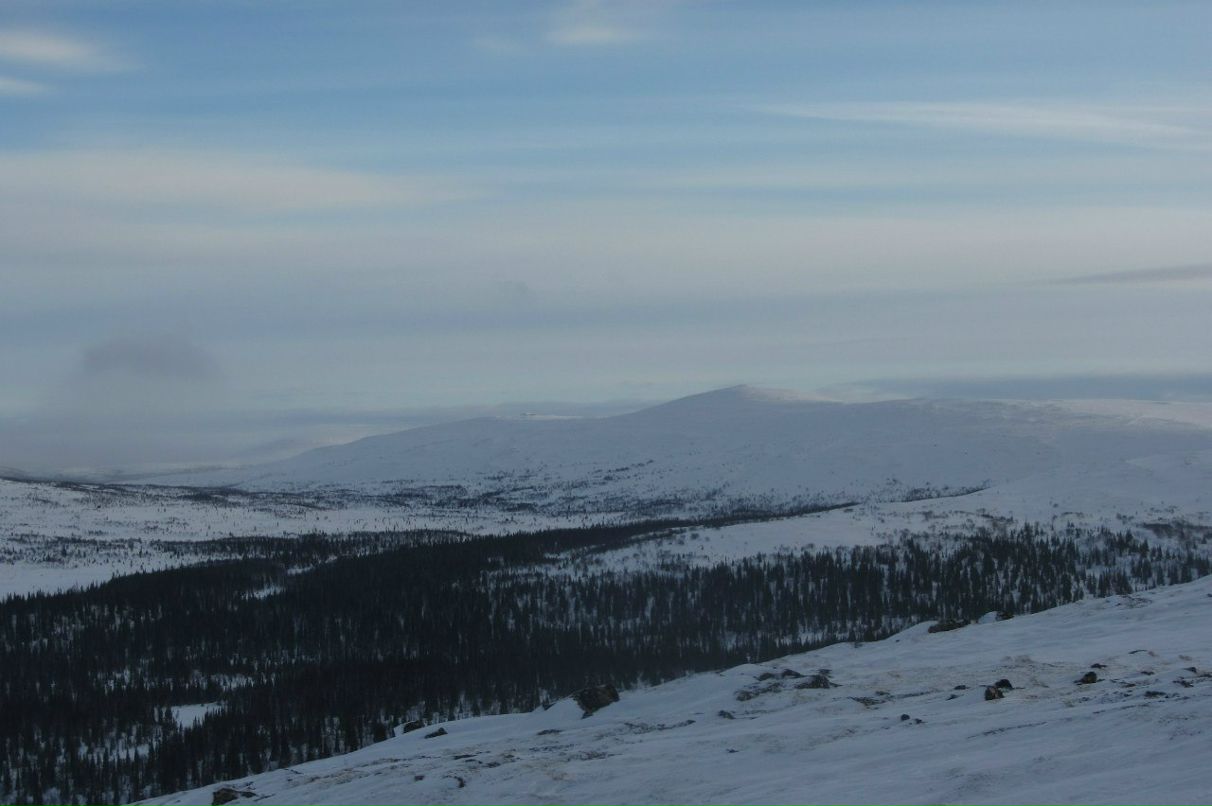 Арсений Петрик | Харьков