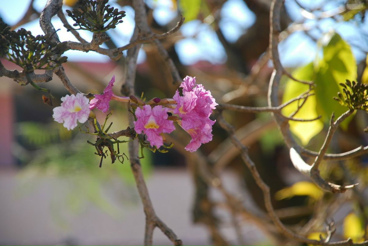 Александра Вылегжанина | Москва
