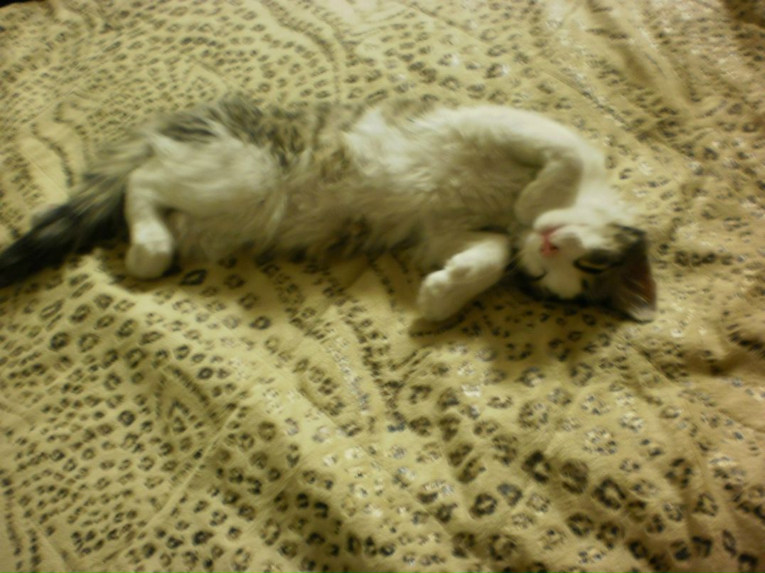 Зинаида Гусева | Макеевка