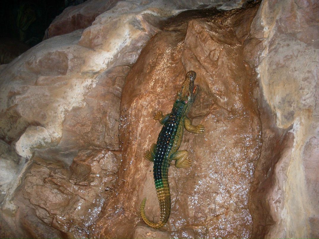 Александр Петров КРОХА | Санкт-Петербург