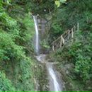 Наталья Коновалова | Балашиха