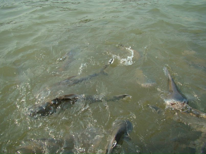 Татьяна Касьян | Москва