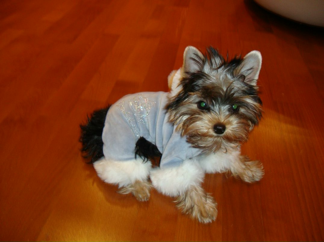 Сусанна Карпова | Санкт-Петербург