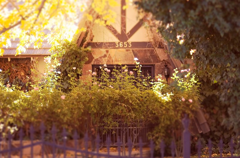 Надюша Фатеева Дюдюка_аспид | 