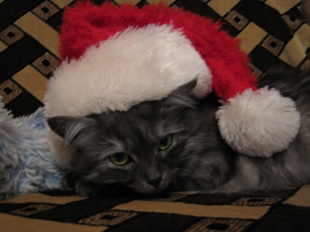 №62, Сашечка Пастух, 37 лет, Киев №62, Сашечка Пастух, 37 лет, Киев