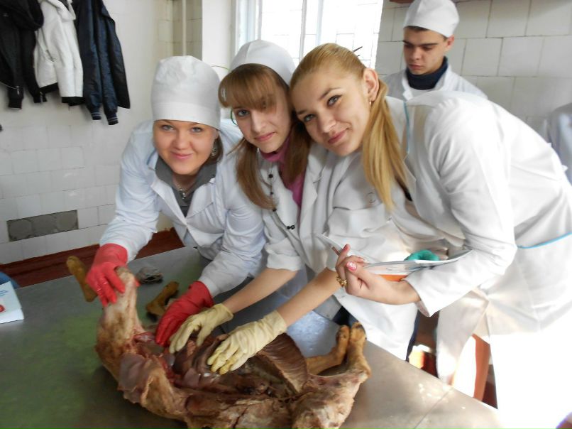 Юлька Утва | 