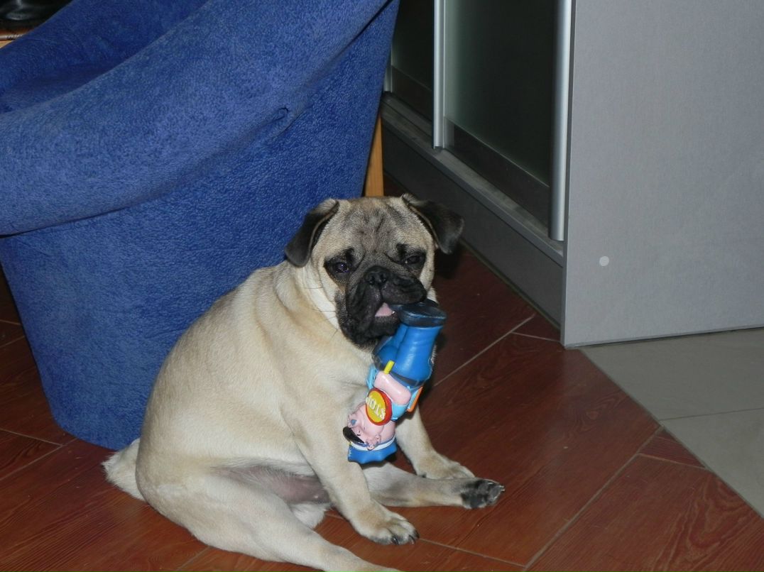 Игорь Буравлев | Санкт-Петербург