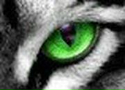 Миша Еремин | Москва