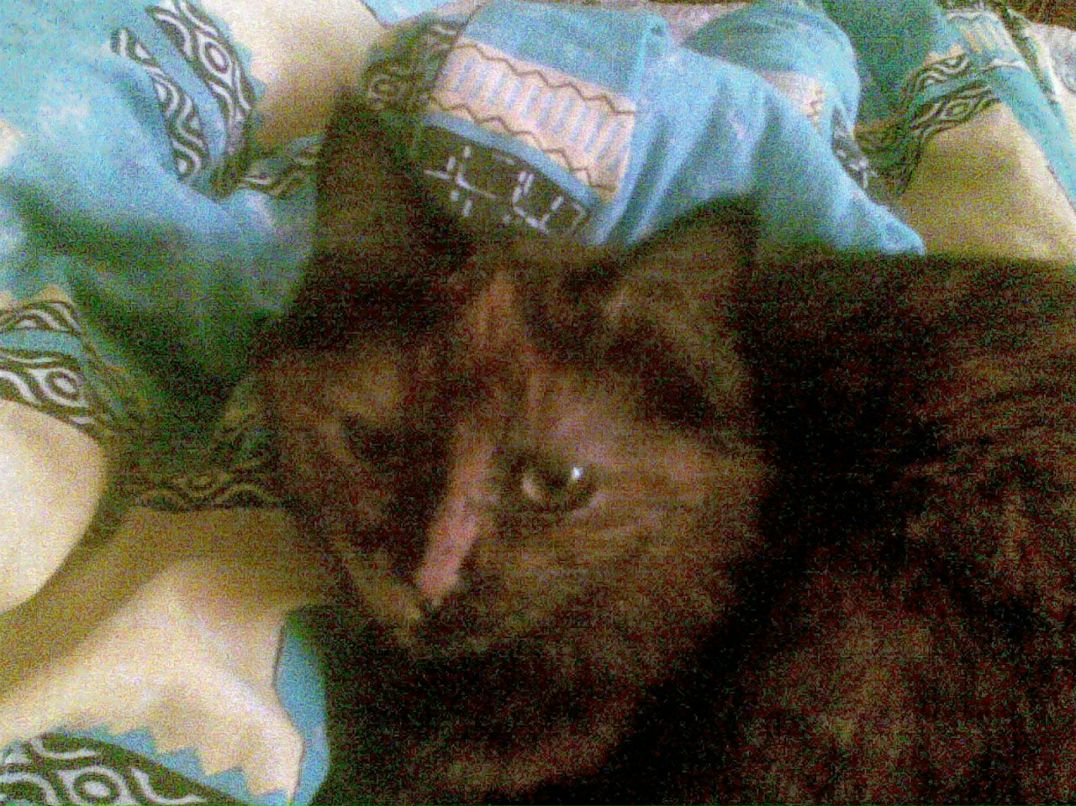 Ксения Зарецкая $$$ KSJUTA $$$ | Гаджиево