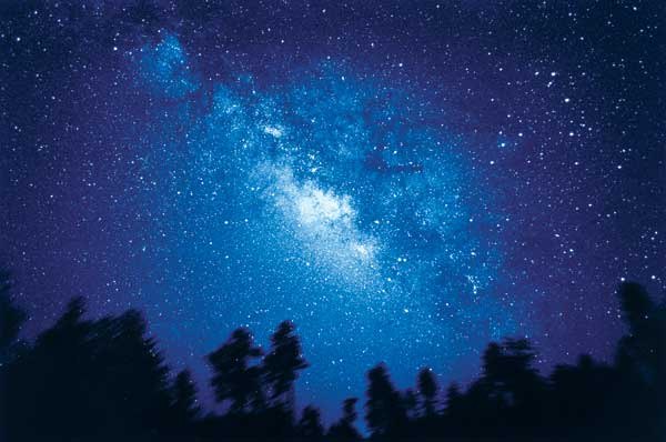 Всеволод Коцарев | Тамбов