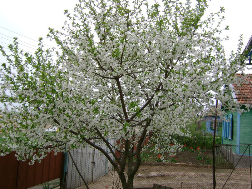 Юрий Аборнев | 