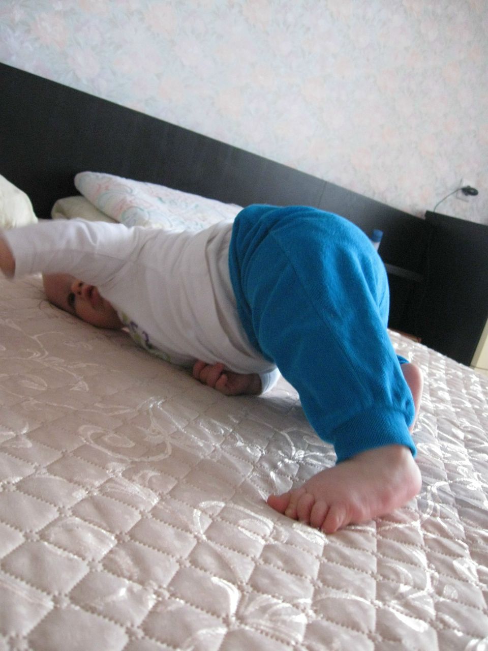 Мария Гаель | Минск