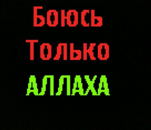 №85, Максим Бородинов, Ярославль №85, Максим Бородинов, Ярославль
