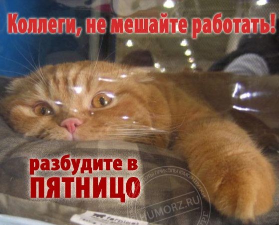 Денис Хроменков | Смоленск