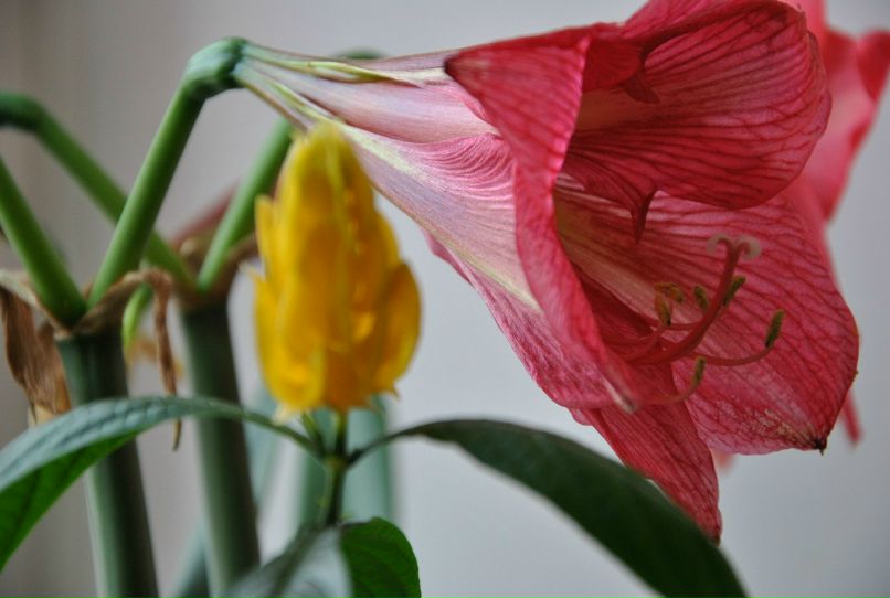 Олег Семенов | Екатеринбург