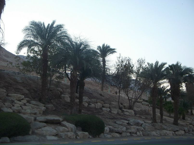 Елена Дроздова | Санкт-Петербург