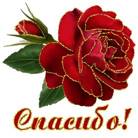 Наталья Смирнова | Череповец