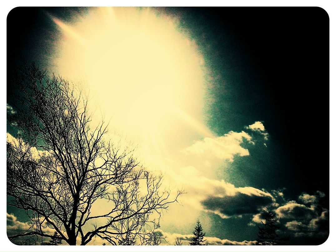 Михаил Косолапов | Южно-Сахалинск