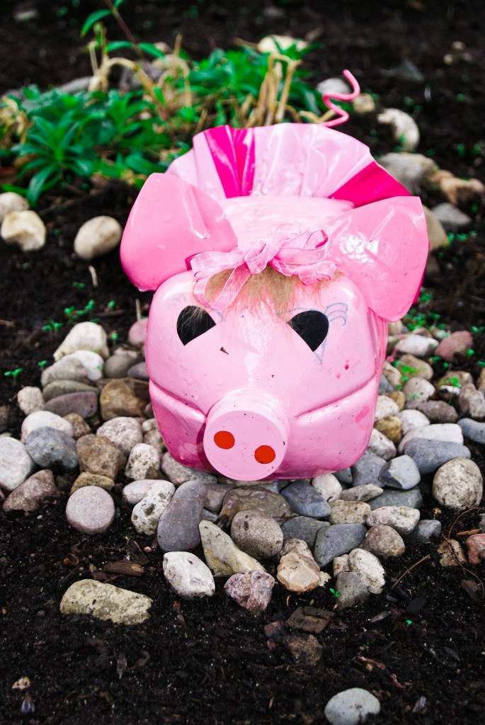 Ольга Беляева | Вологда