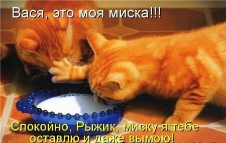 Ирина Володина | Глазов