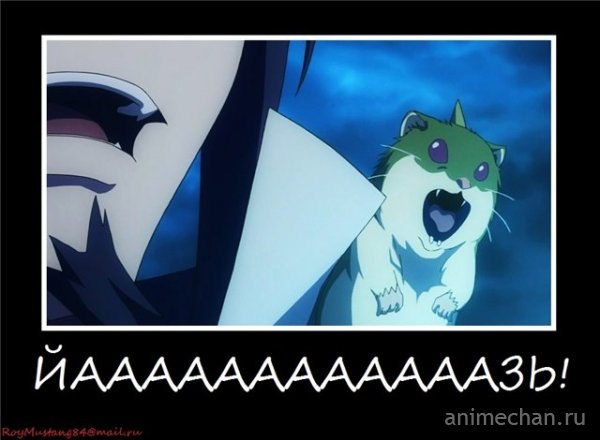 №22, Александр Анимешник, Луганск №22, Александр Анимешник, Луганск