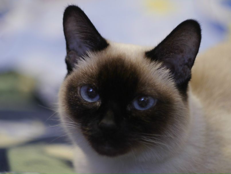 Вера Останкина (Дудина) | Пермь