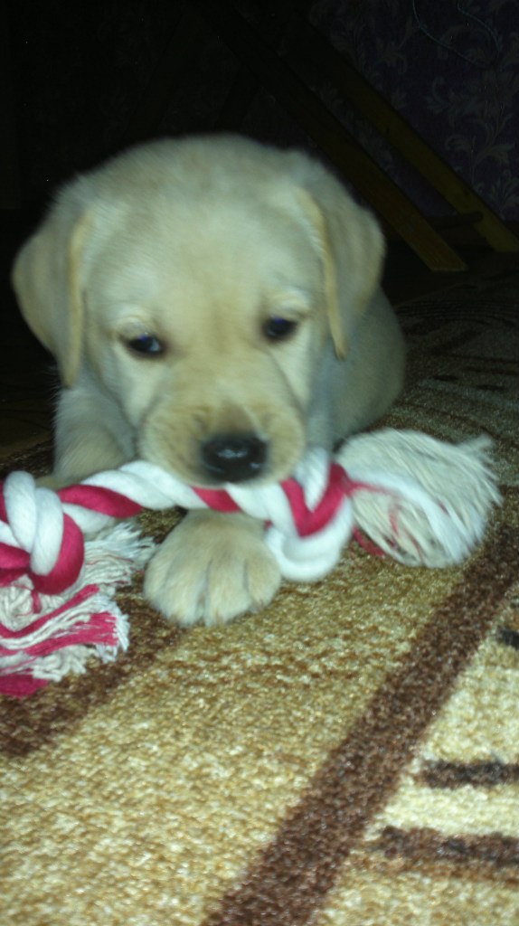 Юлия Язовских | Тихвин