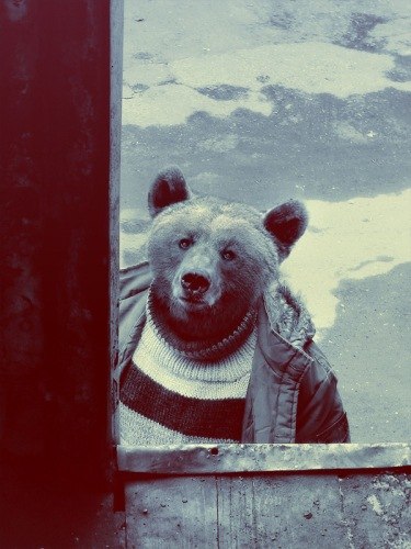 Вячеслав Морозов | Екатеринбург