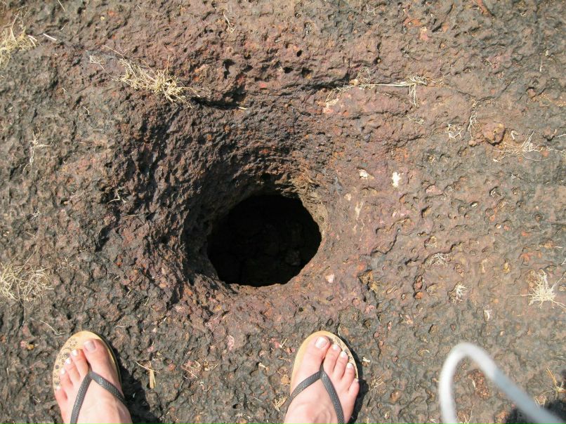 Рина Шилова Кошка | Санкт-Петербург