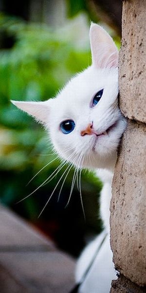 №143, Максим Глютеус, 124 года, Москва №143, Максим Глютеус, 124 года, Москва