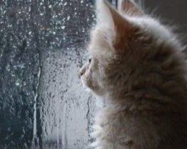 Анастасия Бабешкина | Тюмень