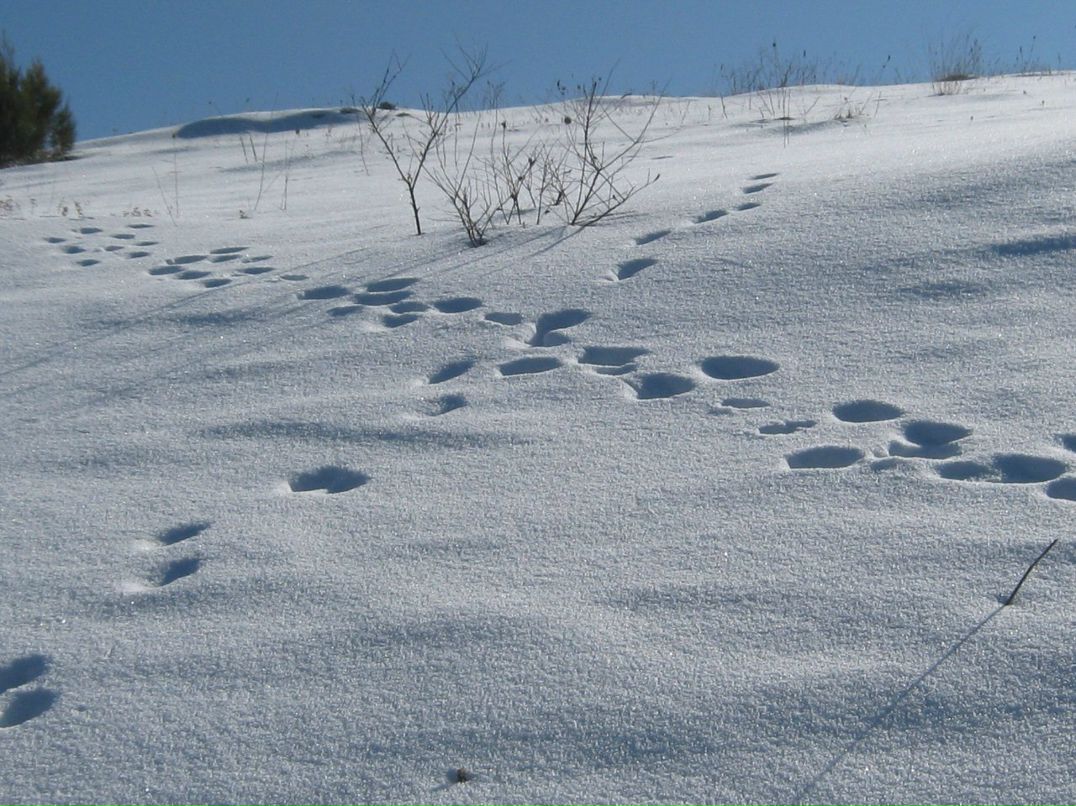 Людмила Андросова Алексеевна | Севастополь