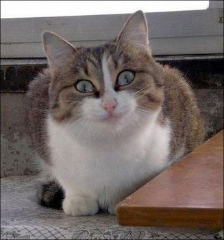 Ваня Беляев | Харьков