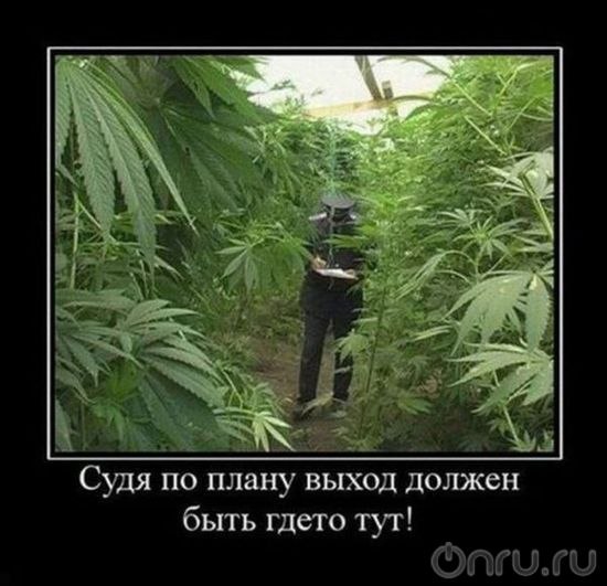 №43, Александр Беккер, 16.06, Piła №43, Александр Беккер, 16.06, Piła