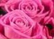 Анна Иванова | Невель