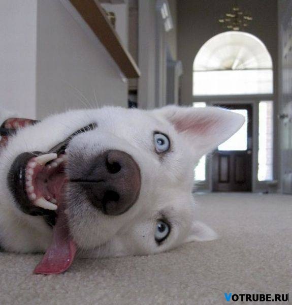 №71, Артём Александрович, Киров №71, Артём Александрович, Киров