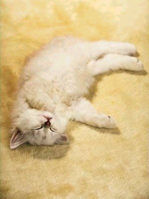 №123, Света Красникова, 38 лет, Полтава №123, Света Красникова, 38 лет, Полтава