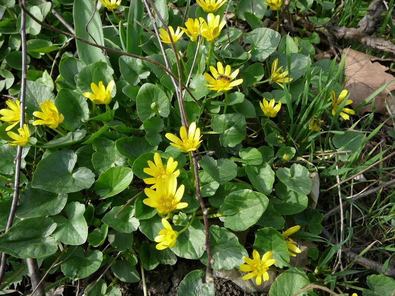 Николай Мартыненко | Анапа