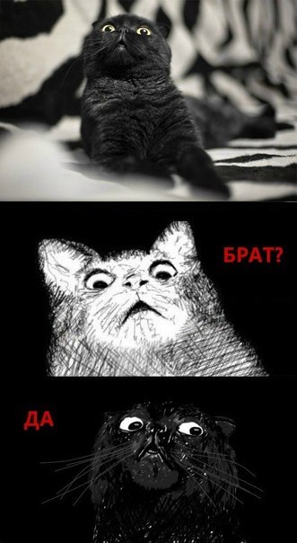 Иван Зубань Van Chello | Иршанск