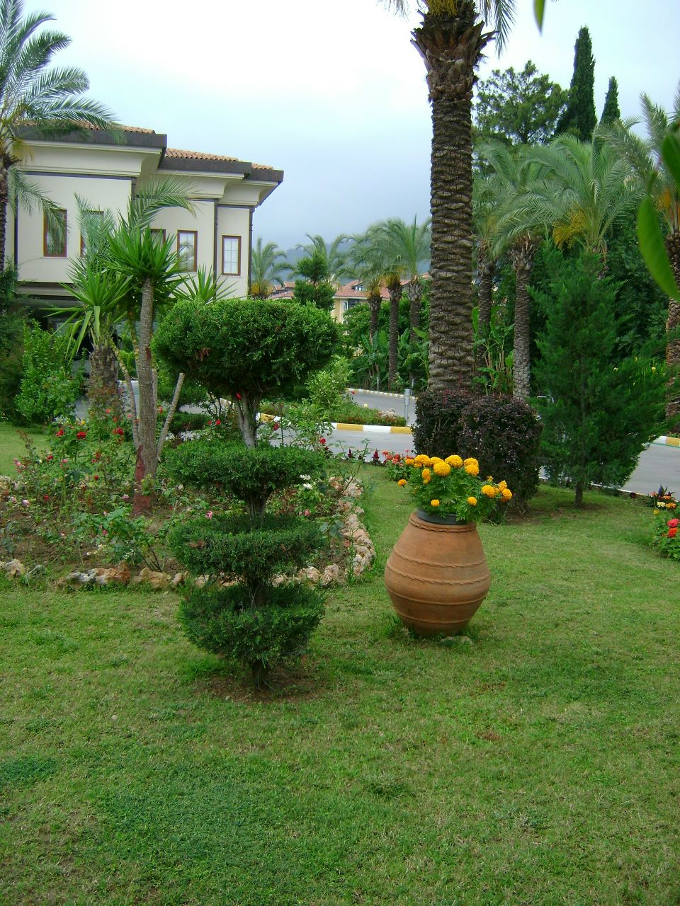 Ирина Фомина-Бочкарёва | Энгельс