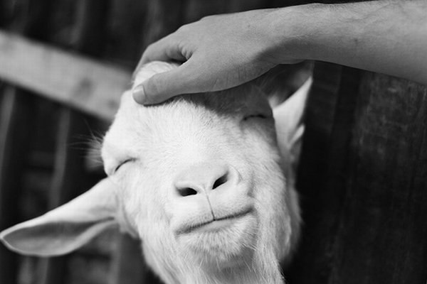 Максим Захаров | Тамбов