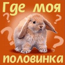 Фотография Константин Ламшаков